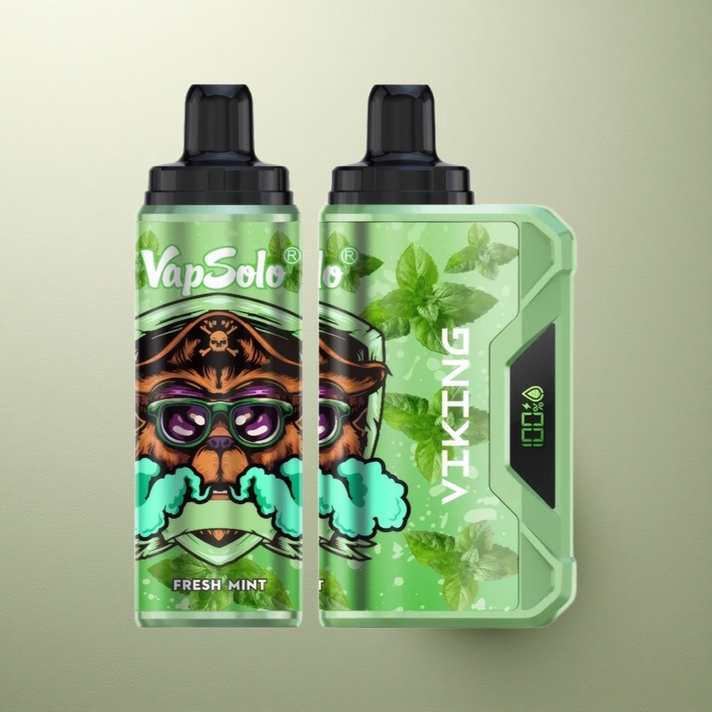 VapSolo VIKING 12000 Puffs Menta Fresca 22ml Tipo-C